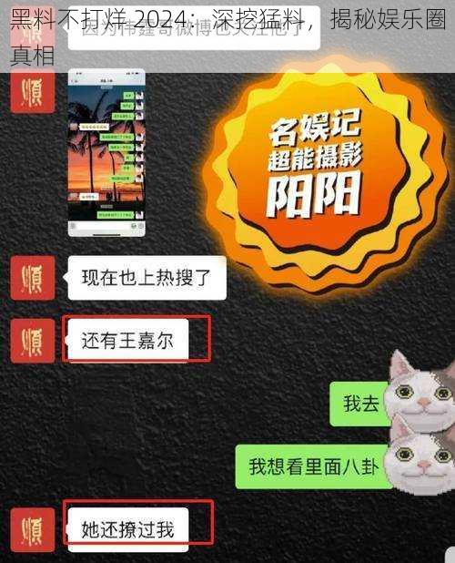 黑料不打烊 2024：深挖猛料，揭秘娱乐圈真相