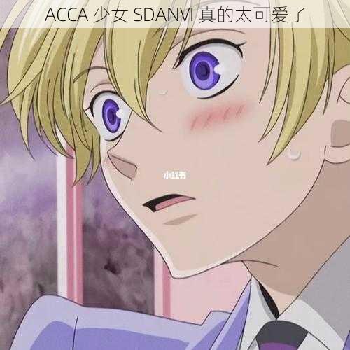 ACCA 少女 SDANVI 真的太可爱了