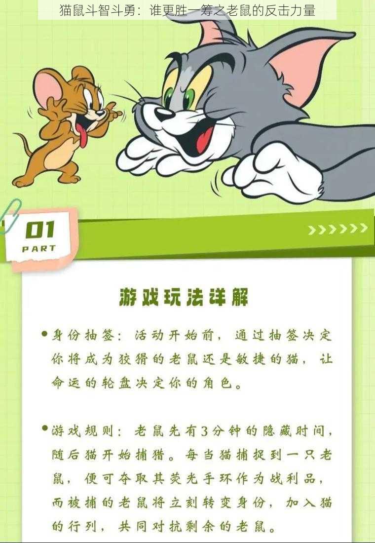 猫鼠斗智斗勇：谁更胜一筹之老鼠的反击力量