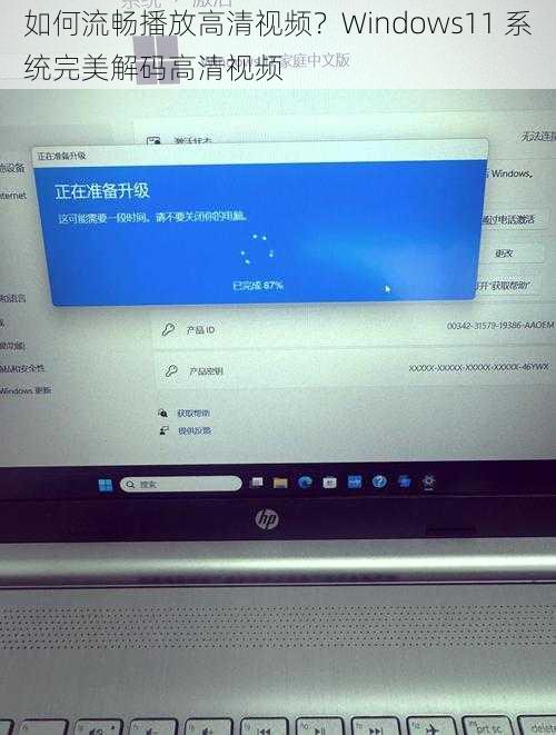 如何流畅播放高清视频？Windows11 系统完美解码高清视频