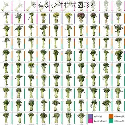 b 有多少种样式图形？