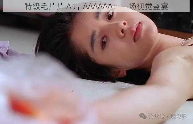 特级毛片片 A 片 AAAAAA：一场视觉盛宴