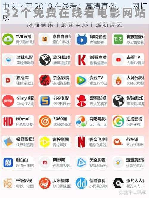 中文字幕 2019 在线看：高清直播，一网打尽